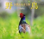 ISBN 9784829921029 野鳥 寺家ふるさと村  /文一総合出版/高田哲良 文一総合出版 本・雑誌・コミック 画像