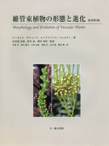 ISBN 9784829921609 維管束植物の形態と進化/文一総合出版/ア-ネスト・M．ギフォ-ド 文一総合出版 本・雑誌・コミック 画像