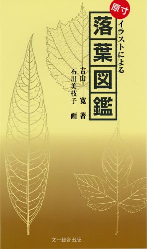 ISBN 9784829930410 落葉図鑑 原寸イラストによる 第３版/文一総合出版/吉山寛 文一総合出版 本・雑誌・コミック 画像