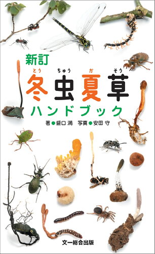 ISBN 9784829981771 冬虫夏草ハンドブック 新訂/文一総合出版/盛口満 文一総合出版 本・雑誌・コミック 画像