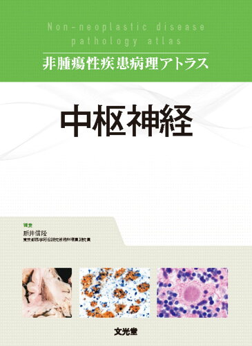 ISBN 9784830604942 中枢神経/文光堂/新井信隆 文光堂 本・雑誌・コミック 画像