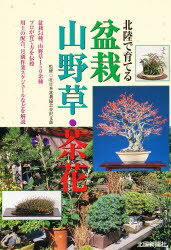 ISBN 9784833009966 北陸で育てる盆栽山野草・茶花   /北国新聞社 北國新聞社出版局 本・雑誌・コミック 画像