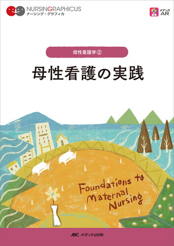 ISBN 9784840481618 母性看護の実践 第3版/メディカ出版/小林康江 メディカ出版 本・雑誌・コミック 画像