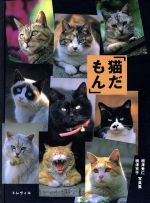 ISBN 9784845711635 猫だもん 相沢秀仁　相沢京子写真集  /トレヴィル/相沢秀仁 リブロポート 本・雑誌・コミック 画像