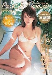 ISBN 9784860845650 DVD＞小町桃子：ピ-チフラワ-/ジ-オ-ティ-/小町桃子 ジーオーティー 本・雑誌・コミック 画像