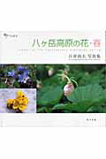 ISBN 9784862490247 八ケ岳高原の花 日〔ビ〕貞夫写真集 春/東方出版（大阪）/日び貞夫 大阪東方出版 本・雑誌・コミック 画像