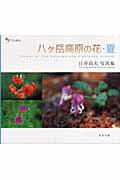 ISBN 9784862490315 八ケ岳高原の花 日〔ビ〕貞夫写真集 夏 /東方出版（大阪）/日び貞夫 大阪東方出版 本・雑誌・コミック 画像