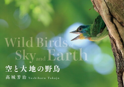 ISBN 9784862494634 空と大地の野鳥 大阪東方出版 本・雑誌・コミック 画像