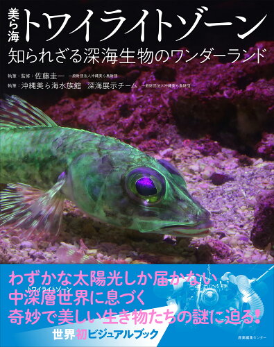 ISBN 9784863113664 美ら海トワイライトゾーン　知られざる深海生物のワンダーランド/産業編集センタ-/佐藤圭一 産業編集センター 本・雑誌・コミック 画像