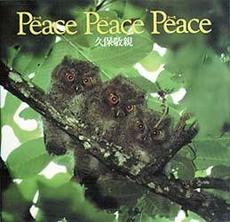 ISBN 9784883043033 Ｐｅａｃｅ　ｐｅａｃｅ　ｐｅａｃｅ/東京アカデミ-/久保敬親 七賢出版 本・雑誌・コミック 画像