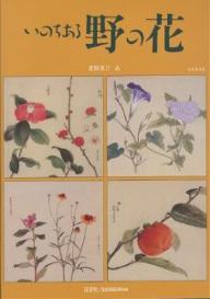 ISBN 9784883500192 いのちある野の花   合本普及版/青菁社/豊岡東江 青菁社 本・雑誌・コミック 画像