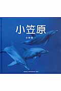 ISBN 9784883500680 小笠原 Ｗｏｒｌｄ　Ｎａｔｕｒａｌ　Ｈｅｒｉｔａｇｅ　ｉｎ  /青菁社/小林修一 青菁社 本・雑誌・コミック 画像