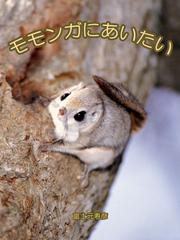 ISBN 9784883502035 モモンガにあいたい Ｆｏｒｅｓｔ　ａｎｇｅｌ  /青菁社/富士元寿彦 青菁社 本・雑誌・コミック 画像