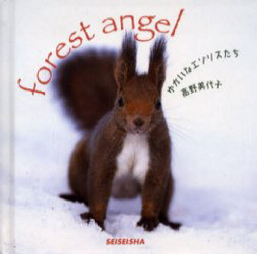 ISBN 9784883502110 ゆかいなエゾリスたち Ｆｏｒｅｓｔ　ａｎｇｅｌ  /青菁社/高野美代子 青菁社 本・雑誌・コミック 画像