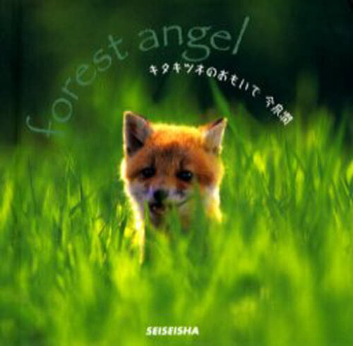 ISBN 9784883502127 キタキツネのおもいで Ｆｏｒｅｓｔ　ａｎｇｅｌ  /青菁社/今泉潤 青菁社 本・雑誌・コミック 画像