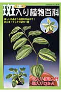 ISBN 9784886161529 斑入り植物百科 美しい銘品から話題の珍品まで！  /栃の葉書房 栃の葉書房 本・雑誌・コミック 画像