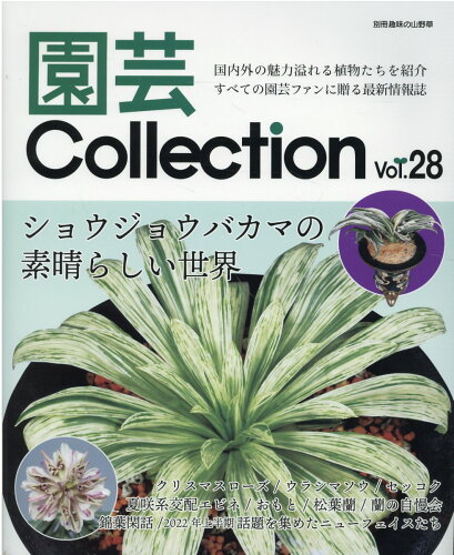 ISBN 9784886164162 園芸Ｃｏｌｌｅｃｔｉｏｎ  Ｖｏｌ．２８ /栃の葉書房 栃の葉書房 本・雑誌・コミック 画像