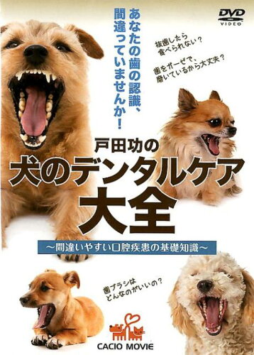 ISBN 9784892311819 ＤＶＤ＞戸田功の犬のデンタルケア大全 間違いやすい口腔疾患の基礎知識  /スタ-ビット/戸田功 オクターブ 本・雑誌・コミック 画像