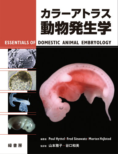 ISBN 9784895310772 カラ-アトラス動物発生学   /緑書房（中央区）/ポウル・ヒッテル 自然社 本・雑誌・コミック 画像