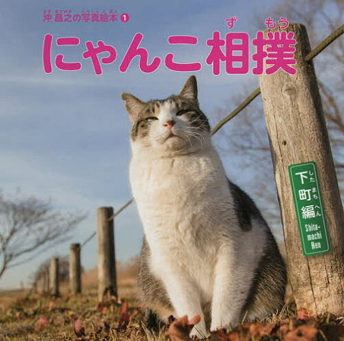 ISBN 9784903175836 にゃんこ相撲　下町編   /大空出版/沖昌之 大空出版 本・雑誌・コミック 画像