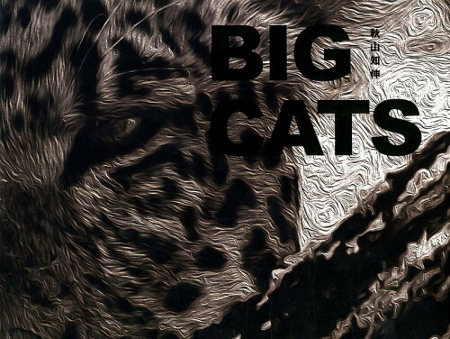 ISBN 9784904076712 ＢＩＧ　ＣＡＴＳ   /文踊社/秋山知伸 文踊社 本・雑誌・コミック 画像