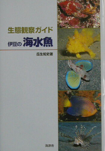 ISBN 9784905930136 伊豆の海水魚 生態観察ガイド  /海游舎/瓜生知史 海游舎 本・雑誌・コミック 画像