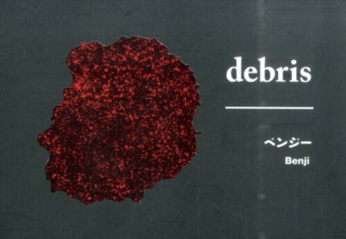 ISBN 9784908188046 debris（函入り3冊セット）/東京綜合写真専門学校出版局/ベンジ- 東京綜合写真専門学校出版局 本・雑誌・コミック 画像