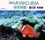 ISBN 9784915275753 Ｔｈｅ　Ｍｉｙａｋｏｊｉｍａ海楽図鑑 館石昭写真集  /水中造形センタ-/館石昭 水中造形センター 本・雑誌・コミック 画像