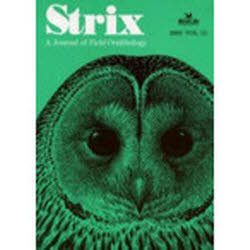 ISBN 9784931150379 Strix 23 植田睦之 日本野鳥の会 本・雑誌・コミック 画像