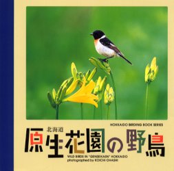 ISBN 9784931204997 北海道原生花園の野鳥 大橋弘一写真集/中西出版/大橋弘一 中西出版 本・雑誌・コミック 画像