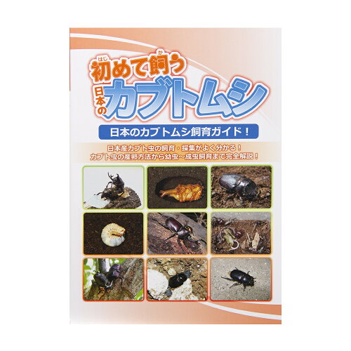 ISBN 9784943955245 初めて飼う日本のカブトムシ / むし社 むし社 本・雑誌・コミック 画像