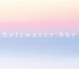 ISBN 9784990372682 Saltwater Sky/ブエノ！ブックス/芝田満之 本・雑誌・コミック 画像