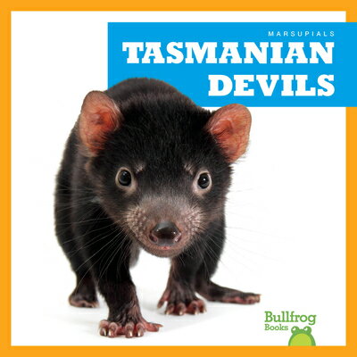 ISBN 9798892135283 Tasmanian Devils/BULLFROG BOOKS/Natalie Deniston 本・雑誌・コミック 画像