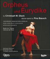 EAN 3760115304444 Orphee Et Eurydice: Bausch Hengelbrock / Balthasar-neumann Ensemble Paris Opera Ballet CD・DVD 画像