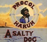 EAN 4009910466827 Salty Dog CD・DVD 画像