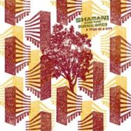 EAN 4017425007084 A Tree in a City Shabani＆TheBurninBirds CD・DVD 画像