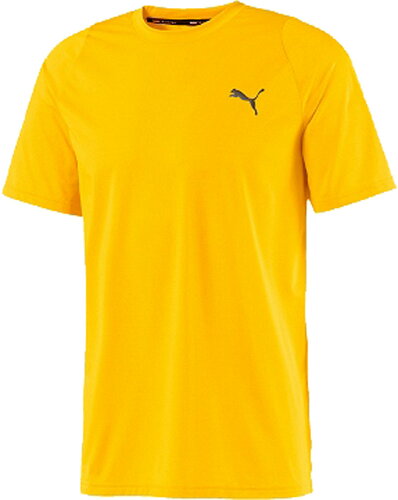 EAN 4062449922448 PUMA プーマ PT トレーニング THERMO R+ Tシャツ 半袖 L ULTRA YELLOW 519297 スポーツ・アウトドア 画像