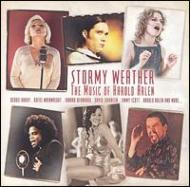EAN 5099708788827 Stormy Weather；Music of Harold SteveWeisberg CD・DVD 画像