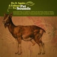 EAN 5413356091526 Do It Again： A Tribute to Pet Sounds ザ・ビーチ・ボーイズ CD・DVD 画像