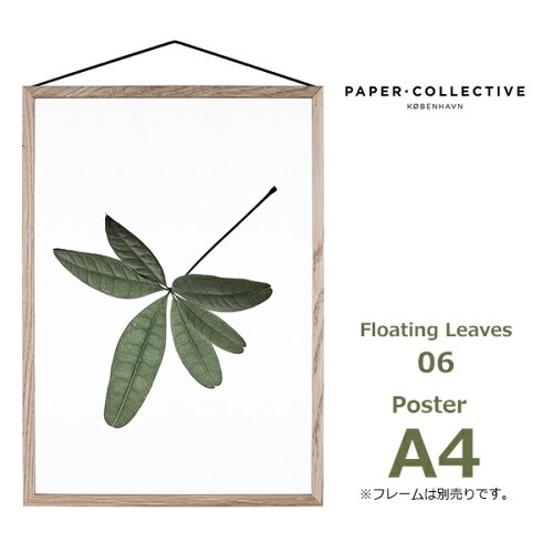 EAN 5713450003921 Paper Collective Floating Leaves 06 A4 クリアポスター 8129 本・雑誌・コミック 画像