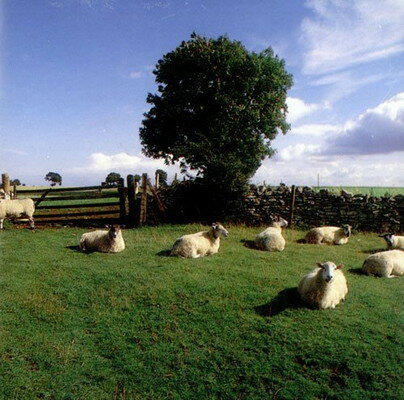 UPC 0016581715523 Chill Out / KLF CD・DVD 画像