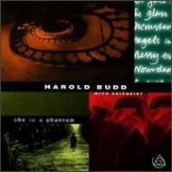 UPC 0022551006621 She Is a Phanton / Harold Budd CD・DVD 画像