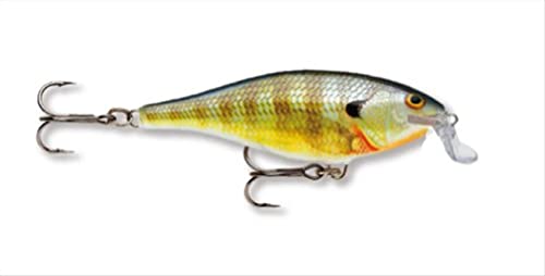 UPC 0022677071374 Rapala ラパラ Shallow Shad Rap シャローシャッドラップ 50mm BG SSR5-BG スポーツ・アウトドア 画像