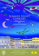 UPC 0044007628010 シェーンブルン宮殿 夏の夜のコンサート2011 ゲルギエフ＆ウィーン・フィル、B．シュミット CD・DVD 画像