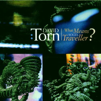 UPC 0044351101221 What Means Solid Traveller / David Torn CD・DVD 画像