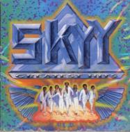 UPC 0068381219022 Skyy スカイ / Greatest Hits 輸入盤 CD・DVD 画像