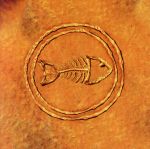 UPC 0074646500927 Fishbone 101: Nuttasaurusmeg Fossil Fuelin / Fishbone CD・DVD 画像