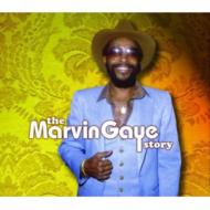 UPC 0602498323267 Marvin Gaye Story マーヴィン・ゲイ CD・DVD 画像