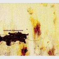 UPC 0606949234621 Nine Inch Nails ナインインチネイルズ / Downward Spiral 輸入盤 CD・DVD 画像