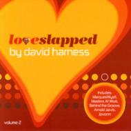 UPC 0613457200222 Loveslapped Vol．2 DavidHarness CD・DVD 画像